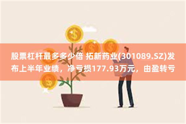 股票杠杆最多多少倍 拓新药业(301089.SZ)发布上半年业绩，净亏损177.93万元，由盈转亏