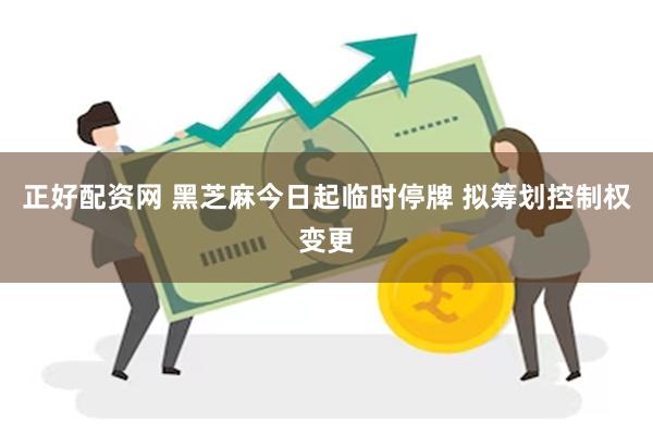 正好配资网 黑芝麻今日起临时停牌 拟筹划控制权变更